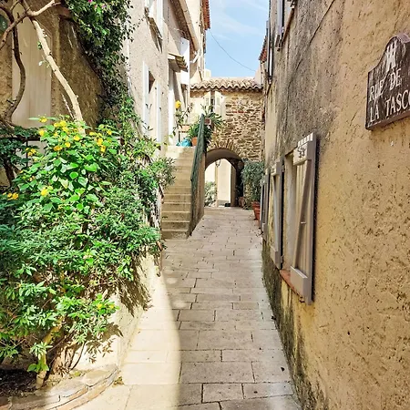 Caesar Domus-4 By Interhome Apartment Saint-Tropez